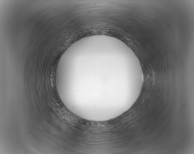 X0000079290772200612011723