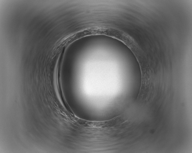 X0000079290773200612011723