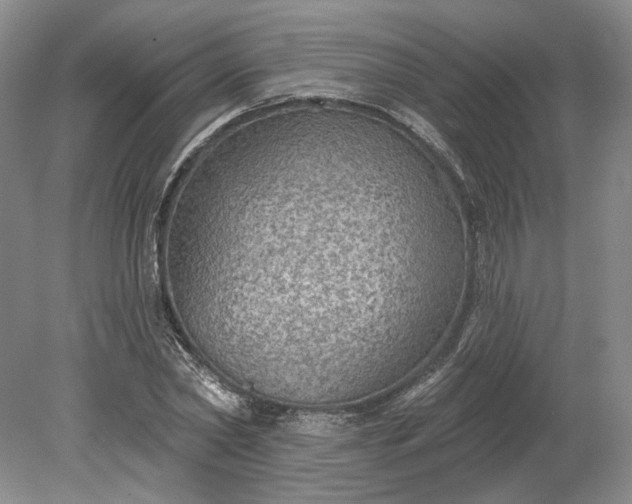 X0000079290782200612011723