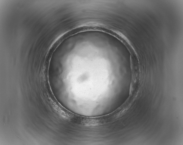X0000079290783200612011723