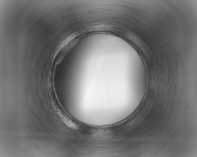 X0000079290786200612011723