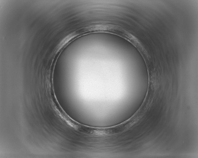 X0000079290794200612011723