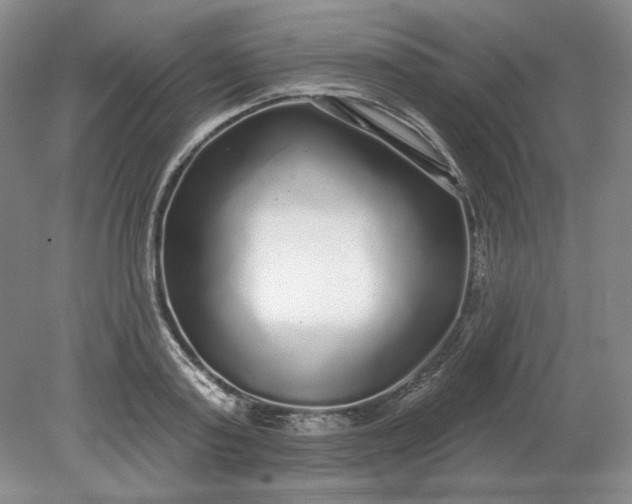 X0000079290795200612011723
