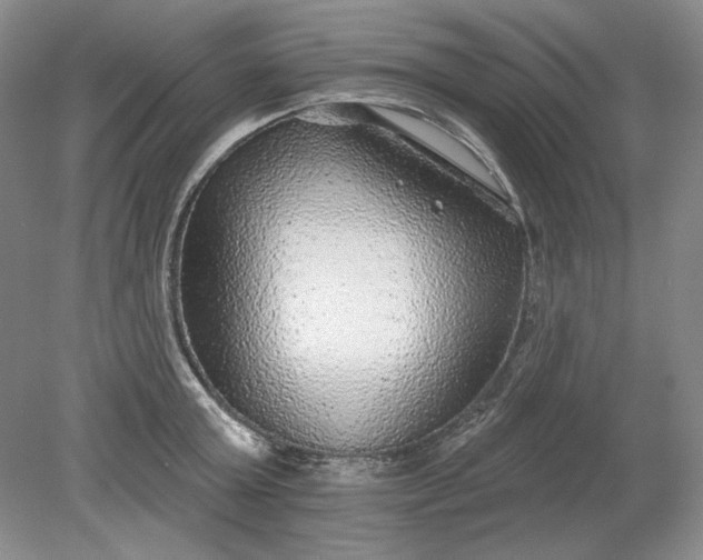 X0000079290803200612011722