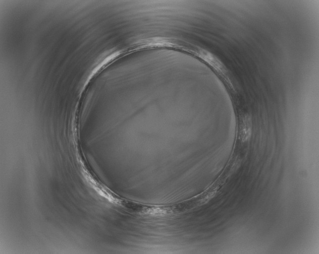 X0000079290806200612011722