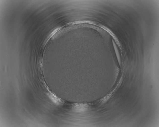 X0000079290809200612011722