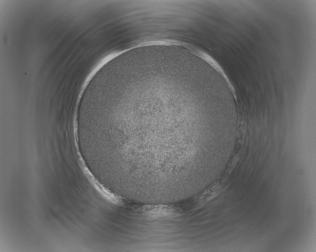 X0000079290811200612011722