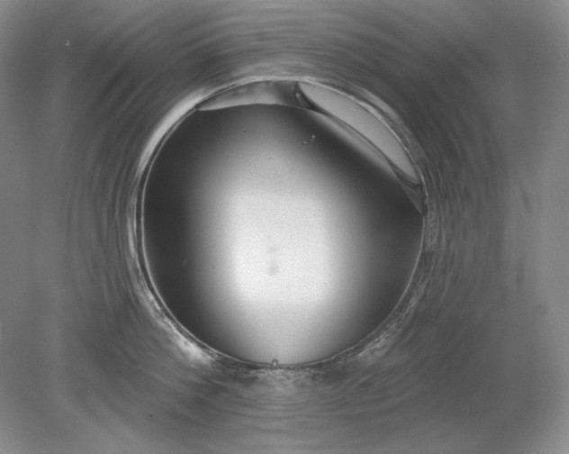 X0000079290812200612011722