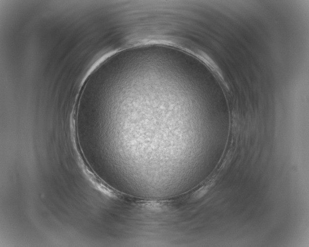 X0000079290814200612011722
