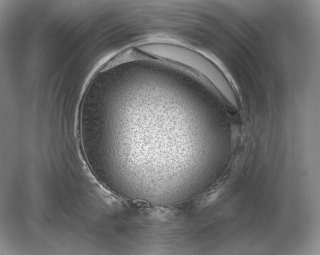 X0000079290815200612011722
