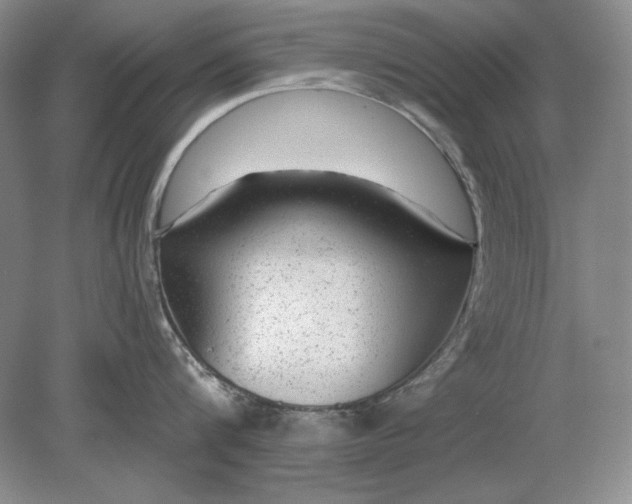 X0000079290816200612011722