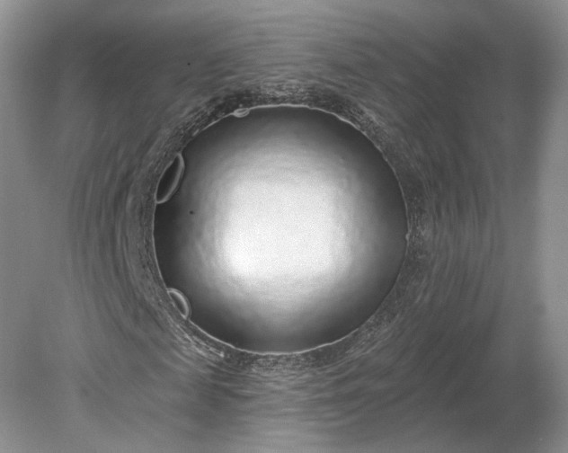 X0000079290817200612011721