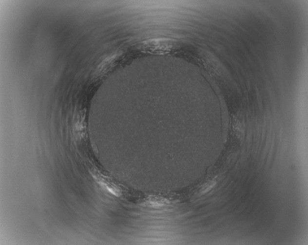 X0000079290818200612011721