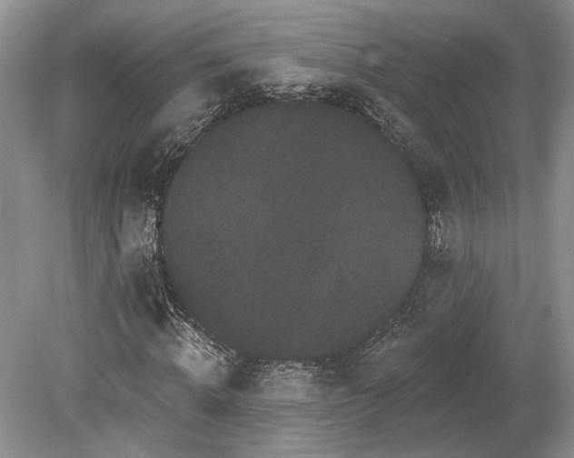 X0000079290820200612011721