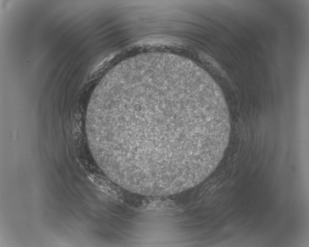 X0000079290824200612011721