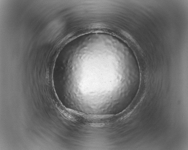 X0000079290825200612011721