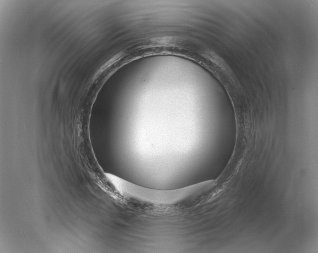 X0000079290826200612011721