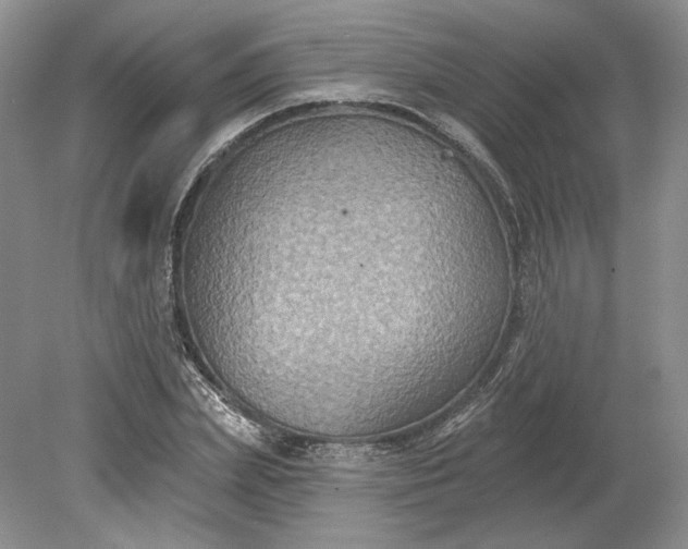 X0000079290831200612011722