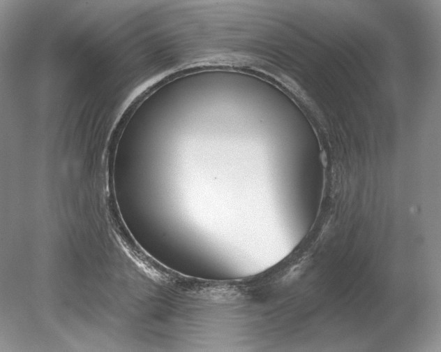 X0000079290838200612011722
