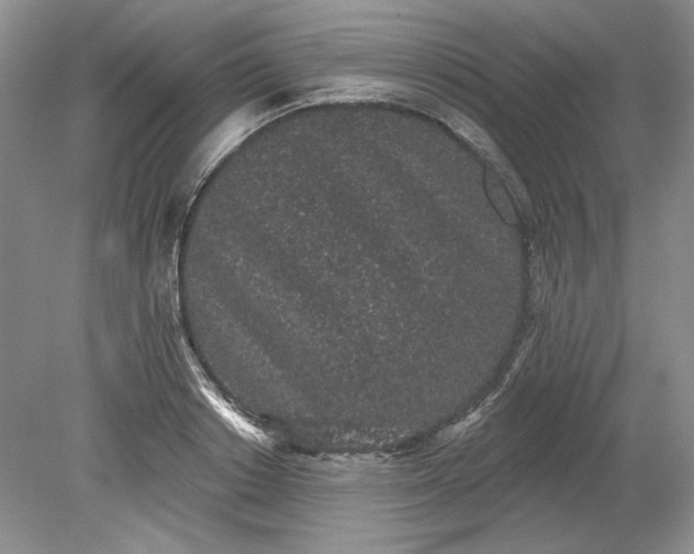 X0000079290842200612011722