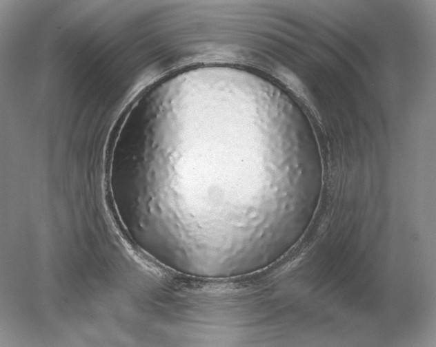 X0000079290845200612011722