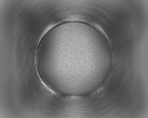 X0000079290847200612011722