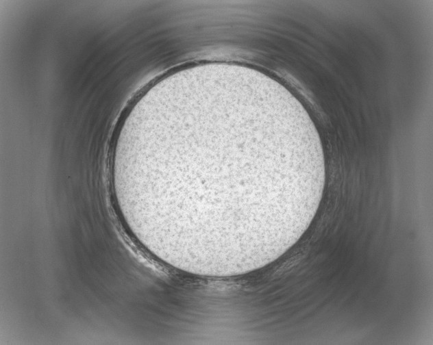 X0000079290848200612011722