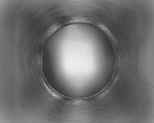 X0000079290849200612011722