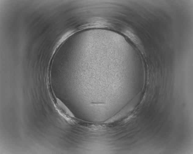 X0000079290850200612011722