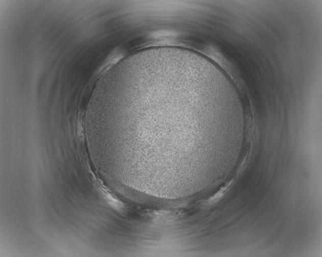 X0000079290857200612011722