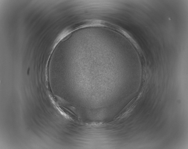 X0000079290858200612011722