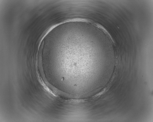 X0000079290860200612011722