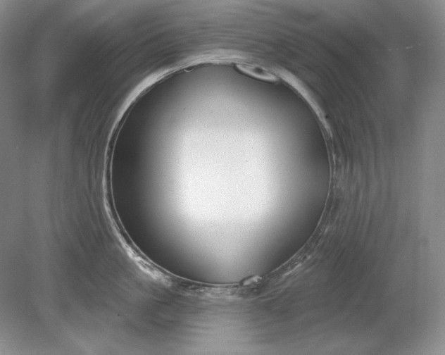 X0000079290861200612011722