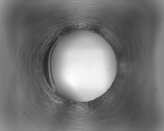 X0000079290865200612011721