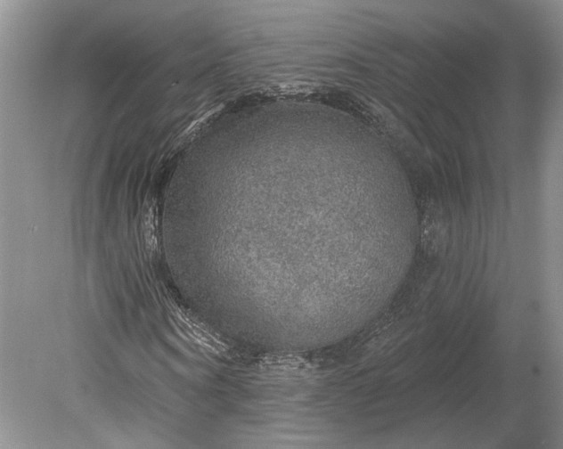 X0000079290866200612011721