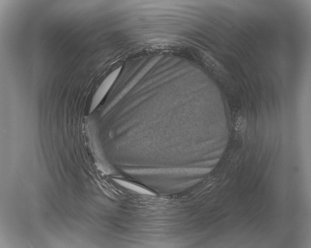 X0000079290868200612011721