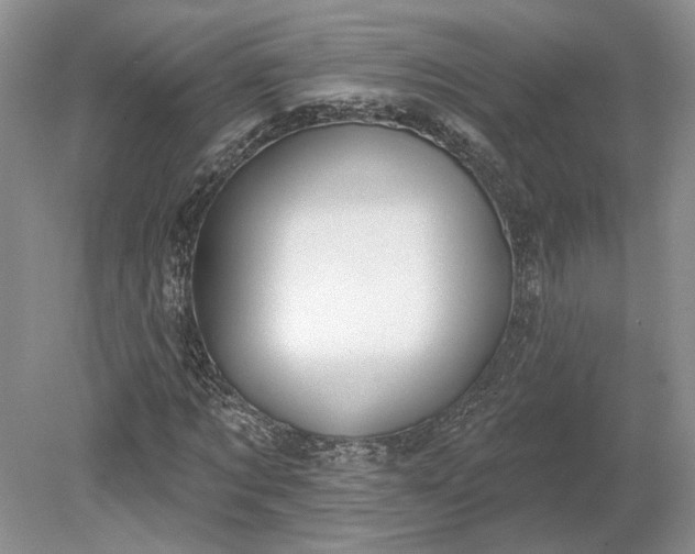 X0000079290869200612011721