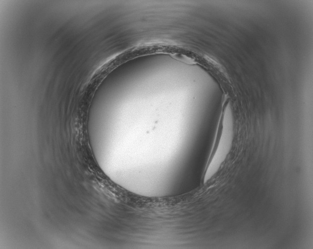 X0000079290872200612011721