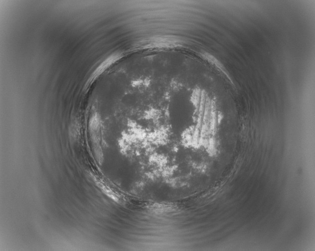 X0000079290874200612011721