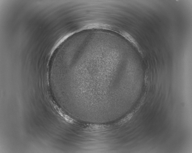 X0000079290877200612011721