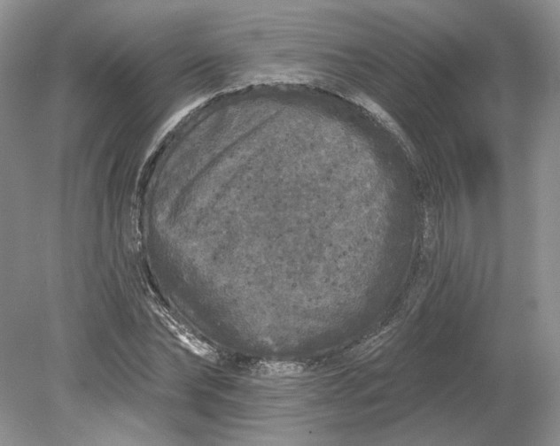 X0000079290878200612011721