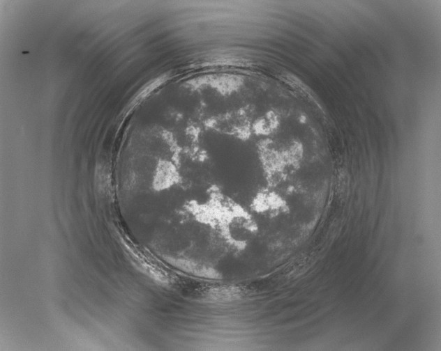 X0000079290882200612011721