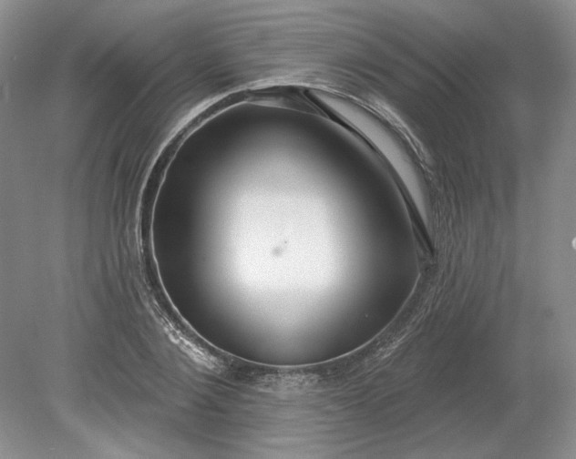 X0000079290884200612011721