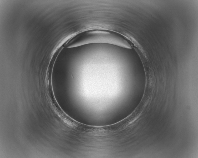 X0000079290885200612011721
