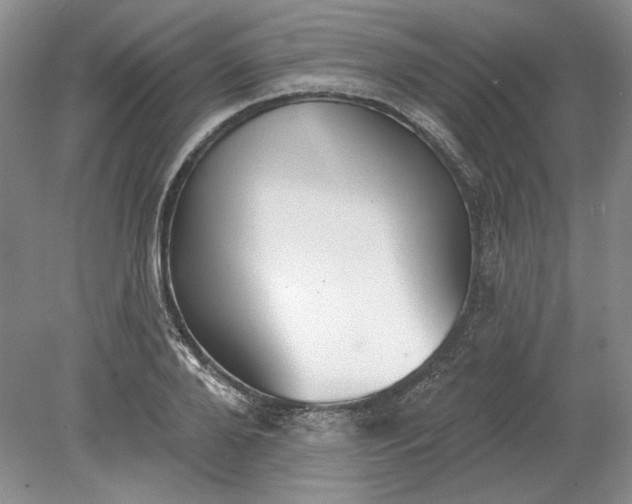 X0000079290888200612011721