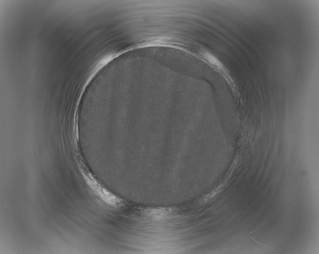 X0000079290892200612011721