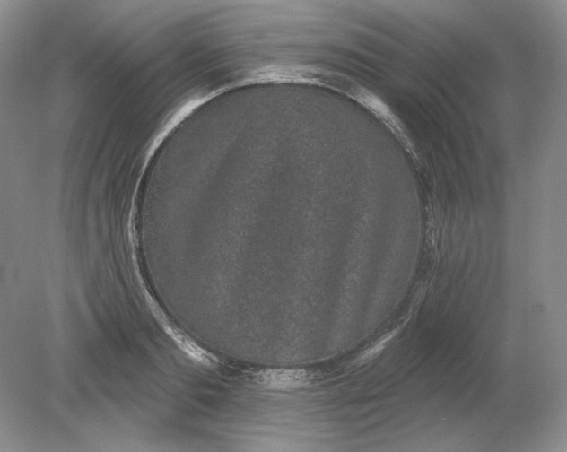 X0000079290893200612011721