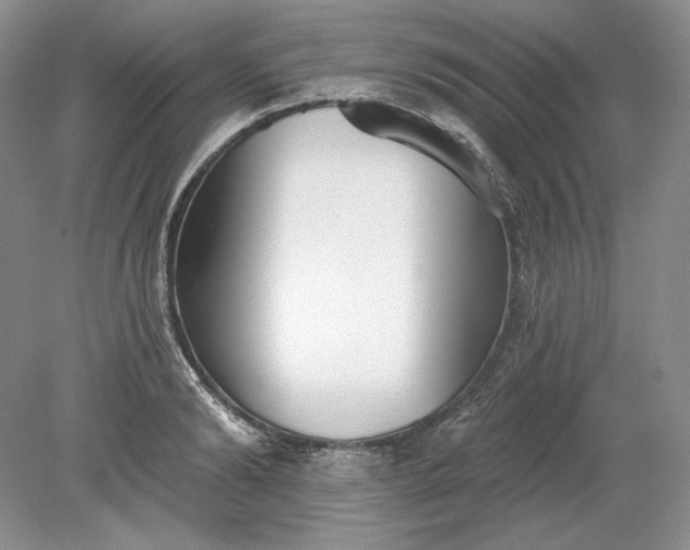 X0000079290894200612011721