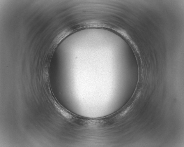 X0000079290897200612011721