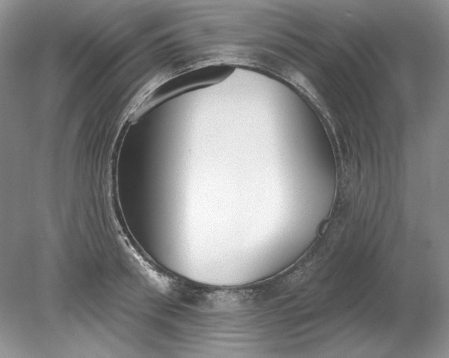 X0000079290898200612011721